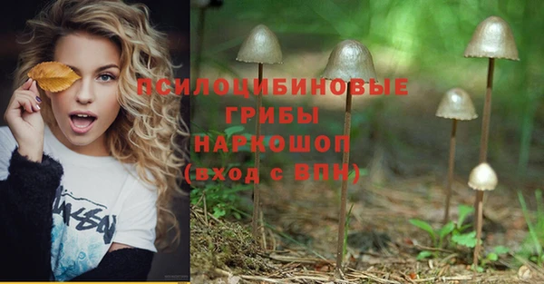 а пвп мука Куйбышев