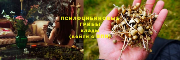 а пвп мука Куйбышев