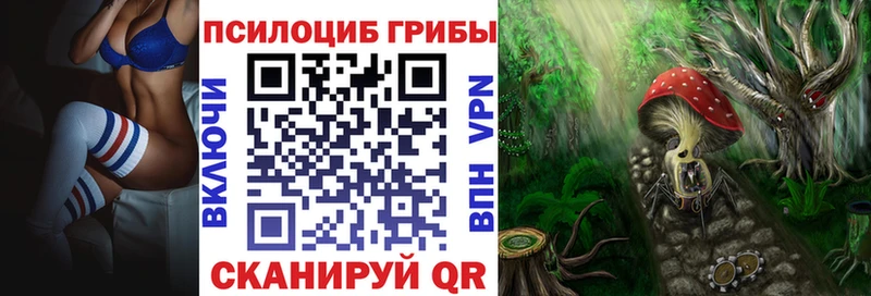 сколько стоит  Лакинск  Галлюциногенные грибы Cubensis 